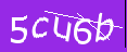 Please enter the code in the imageç