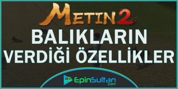 Metin2 Balıkların Verdiği Özellikler | EpinSultan