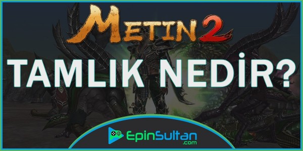 Metin2 Tamlık Nedir? | EpinSultan