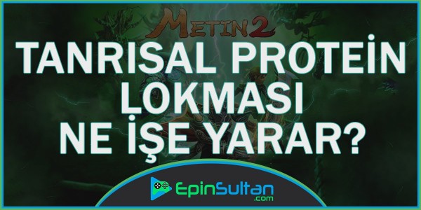 Metin2 Tanrısal Protein Lokması Ne İşe Yarar? | EpinSultan
