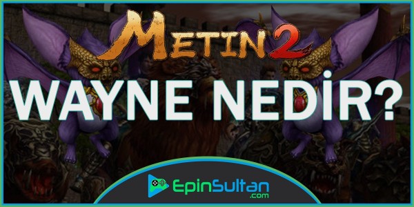 Metin2 Wayne Nedir? | EpinSultan