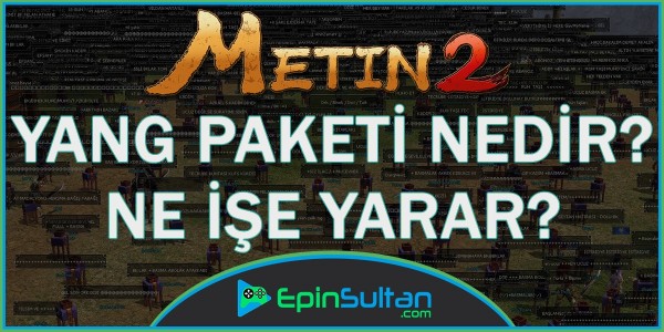 Metin2 Yang Paketi Nedir? Ne İşe Yarar?