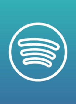 Spotify Follower