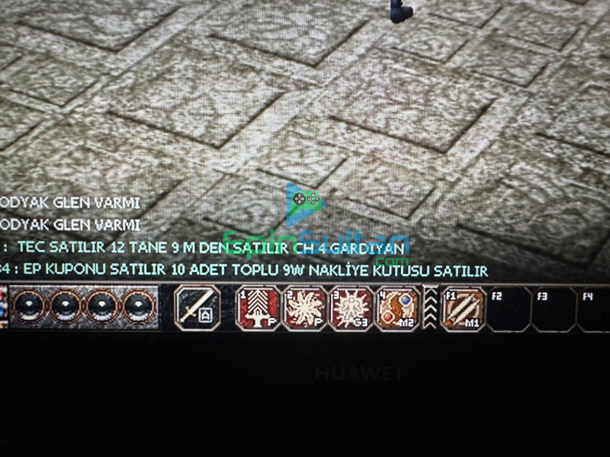 95 LVL ARKADASLAR SUNUCUSU METIN2 TR CAR Resim 2