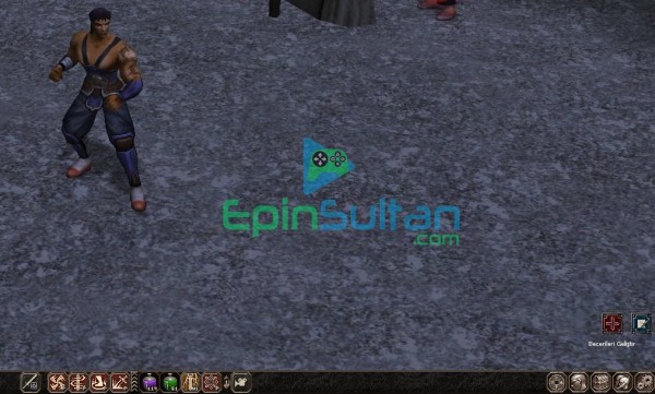 113lvl 5P skill Güçlü Beden-Zelkova