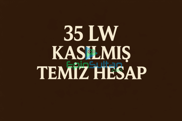 1mail 1id 1karakter 35 level hesap 724 Akitifim