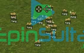 1T Yang Hızlı Teslim