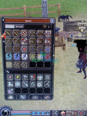 3 LV ŞAMPİYON LYCAN WSLİK FARMLIK
