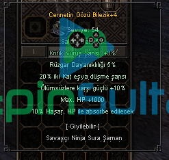 CENNET 1000HP 10 Absorbe 20 İki kat eşya 10 ölümsüz ELİT