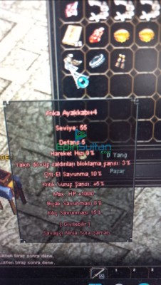 Elit anka