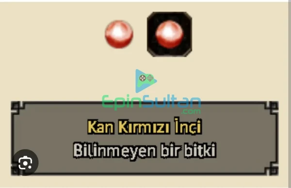 KANKIRMIZI İNCİ 1 ADET - ANLIK TESLİMATSAATLERİ