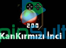 SINIRISZ İNCİ SATILIR SİPARİŞ ALINIR PM AT