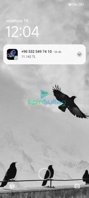 Sunucu Alesta SATILIK SAVAŞCI at zırhlı 2p