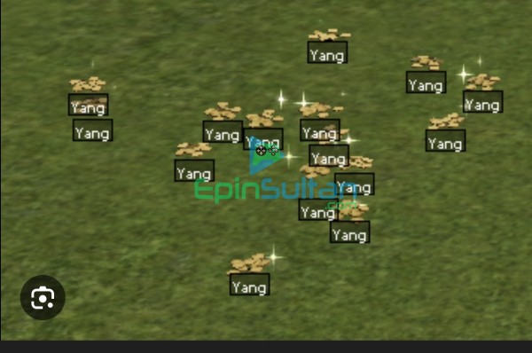 Yang