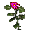 EpinSultan