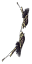 EpinSultan